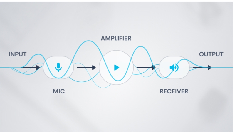 Microphone - Oticon Zircon feature