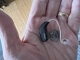 black oticon zircon rechargeable hearing aid in palm of hand next to a dime