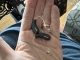 2 black oticon zircon rechargeable hearing aids side by side in palm of hand