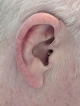 close up image of receiver wire for real hearing aid following contour of the ear