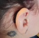 ReSound Nexia 7 micro RIE hearing aid tucked neatly behind the ear