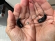 The image of hearing aids