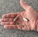 Pair of Resound vivia 9 in sand in palm of hand