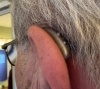 signia pure charge&go bct 5ix in beige on left ear close up from behind