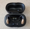 Pair of Starkey Omega AI 24 in beige in charger