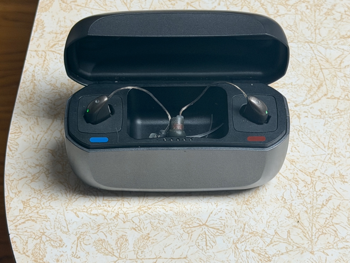 pair of resound vivia 9 in warm grey in charger