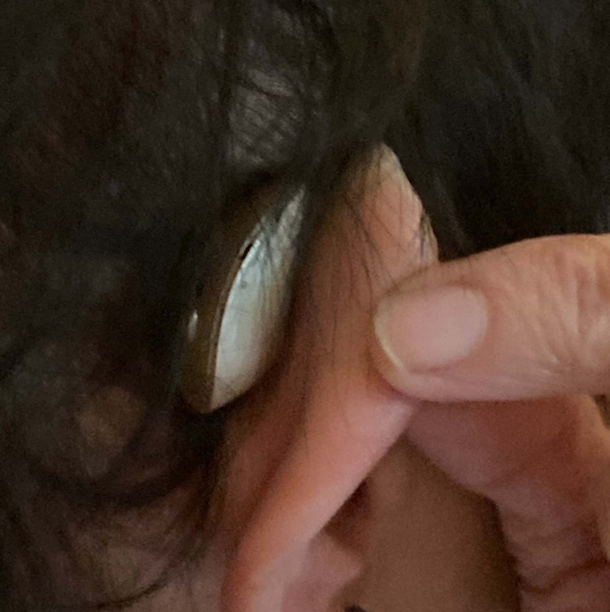 Beige starkey omega ai 24 mric behind right ear close up