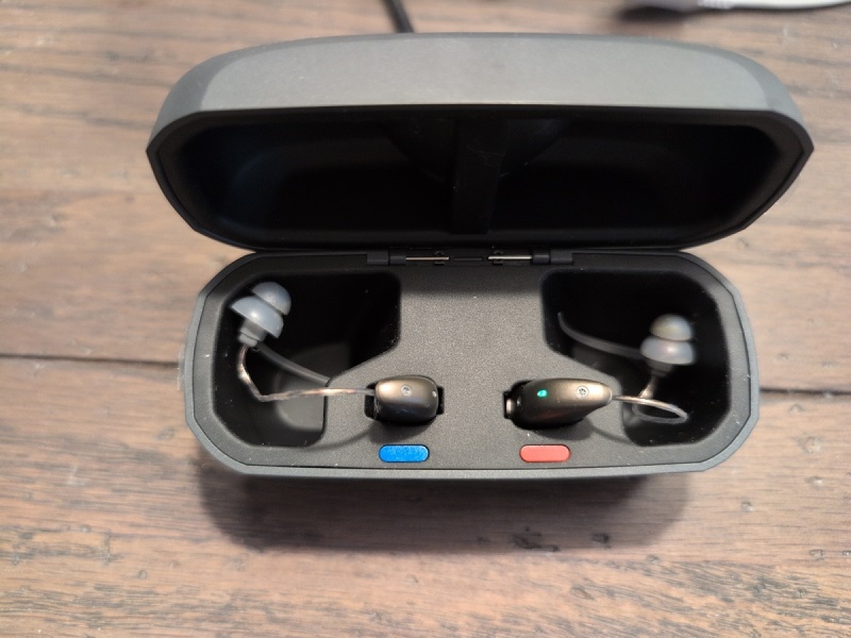 Pair of resound vivia in warm grey in charger